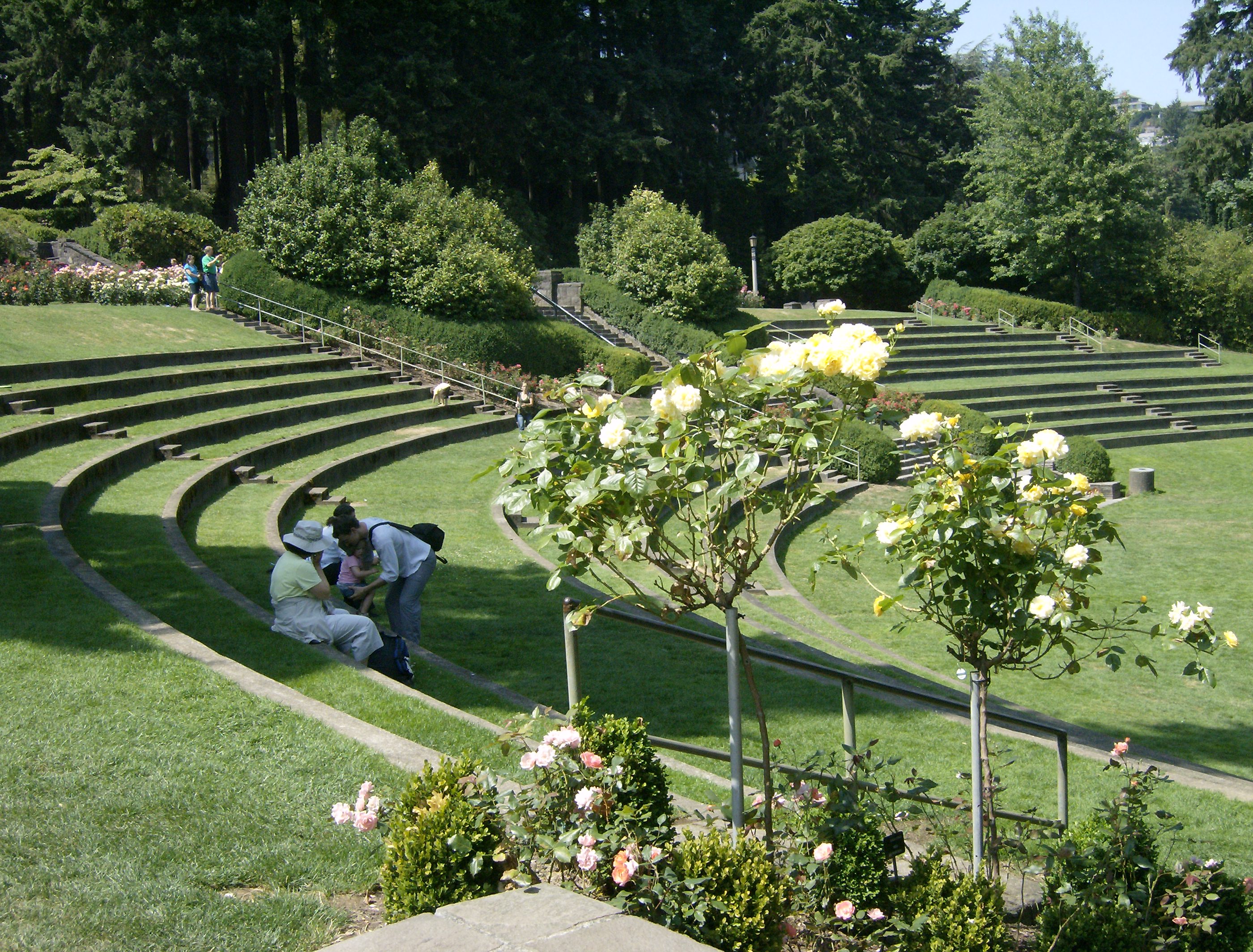Portland Oregon S Rose Garden Steve Snedeker S Landscaping And