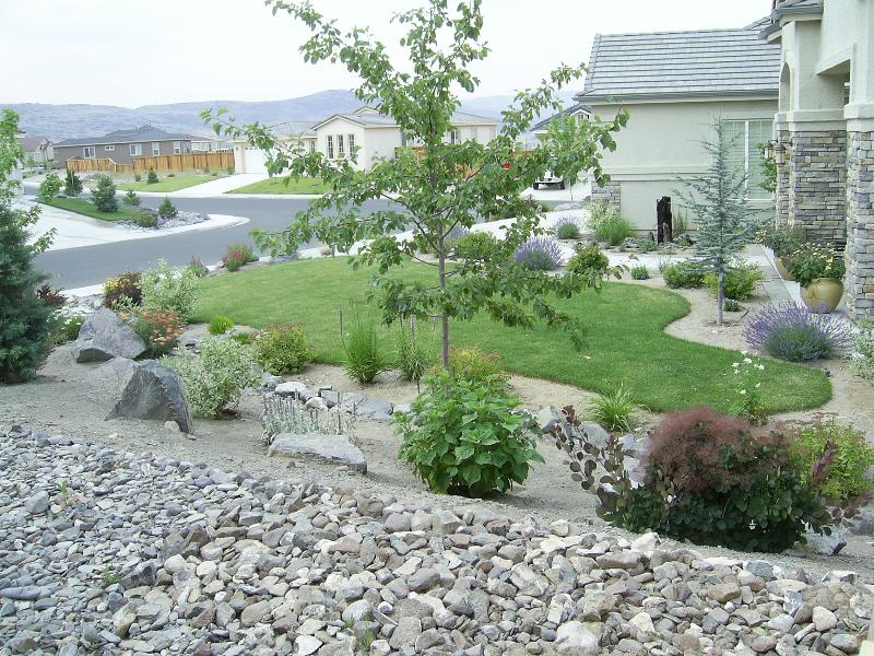 A Front Yard in a Subdivision | Steve Snedeker's Landscaping and Gardening  Blog